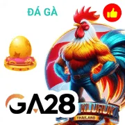 k9k9 Game 07